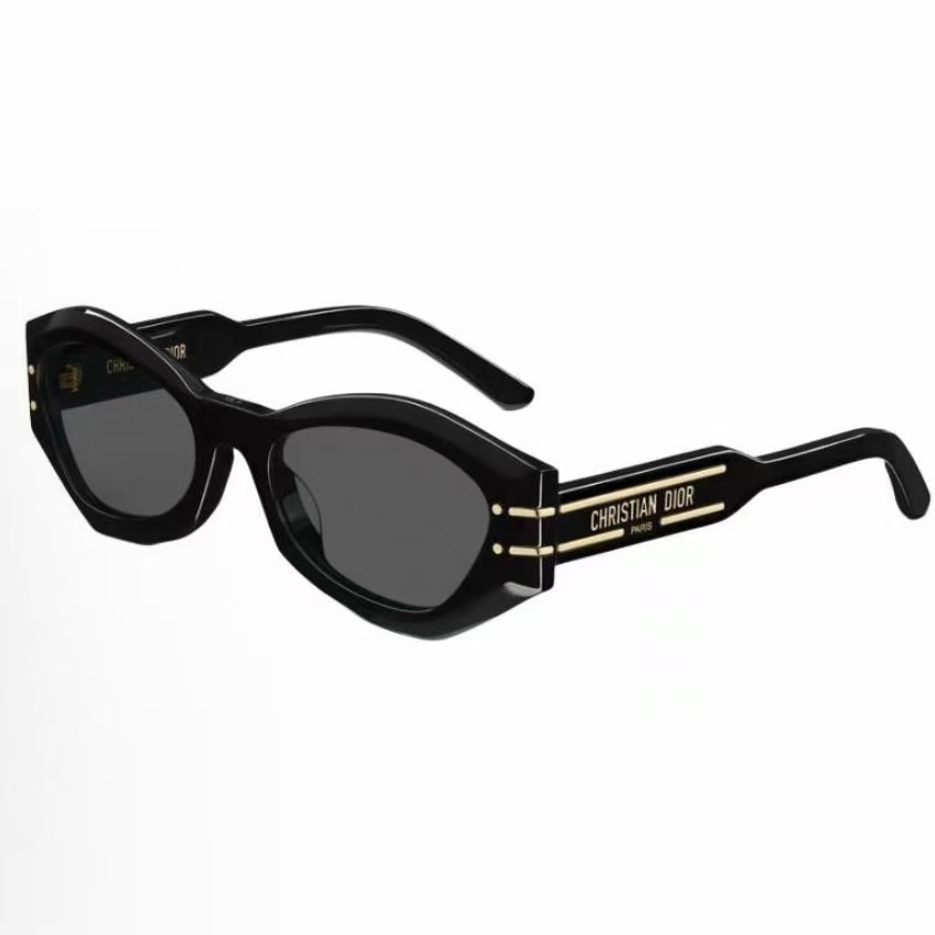 디올 디오르시그니처 B1U 선글라스